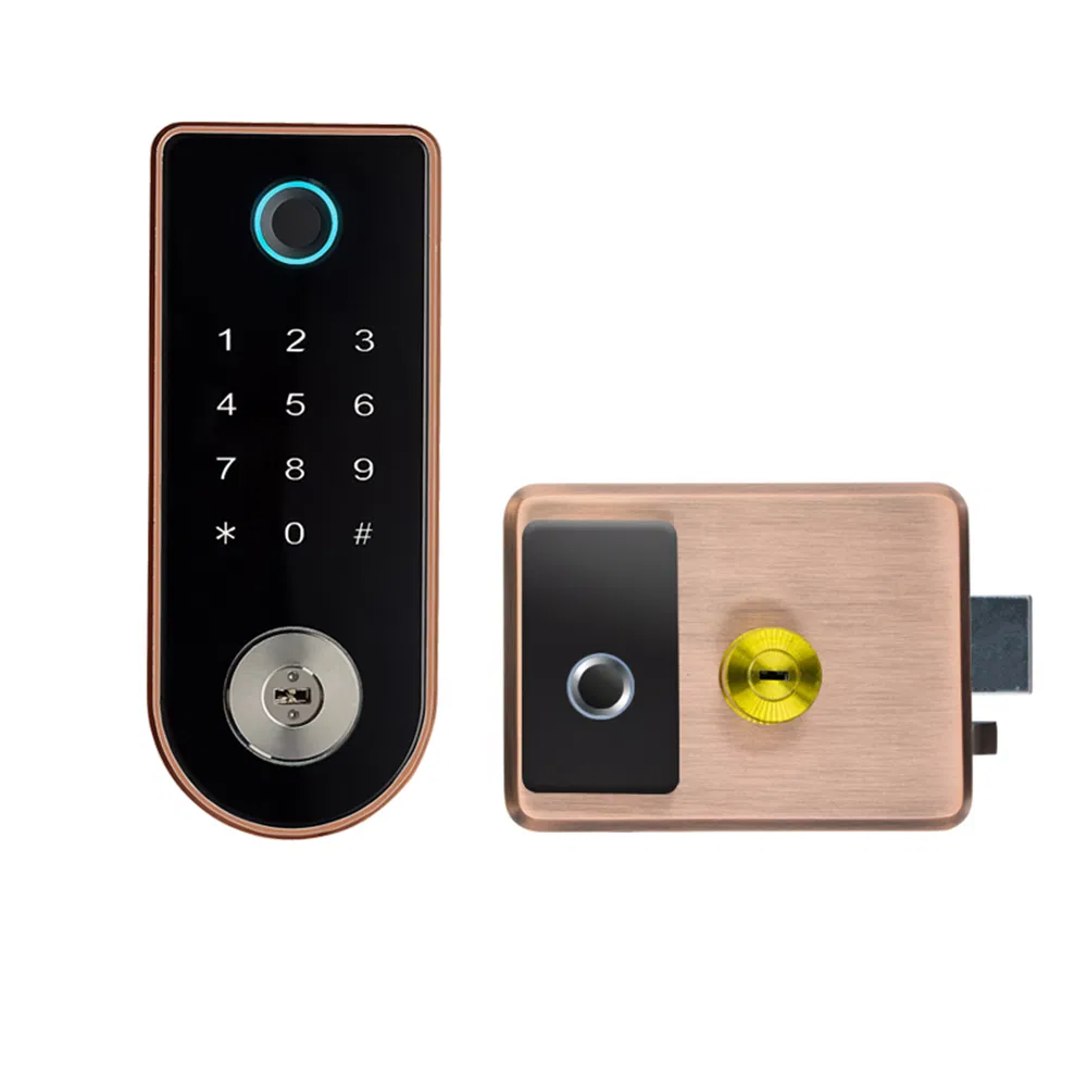 WiFi Tt Lock Card Waterproof Smart Door Locks Rim Lock