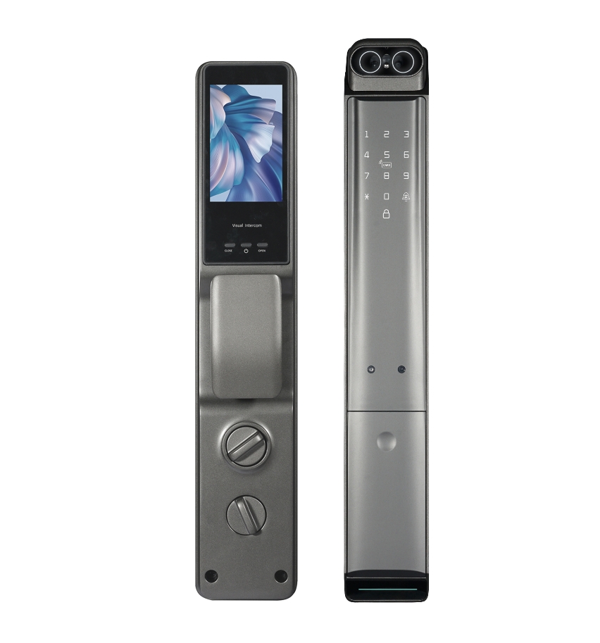 Dalton MIN-01 2025 Tuya Biometric Fingerprint Smart Door Lock With Camera Home Fingerprint Smart Locks