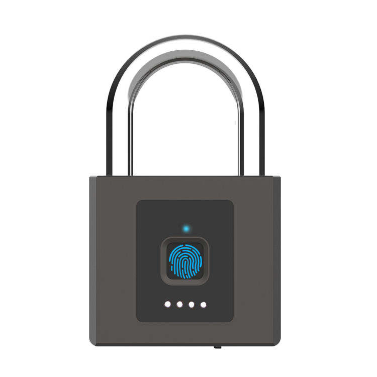 Finger Thumb Print Electronic Zinc Alloy Keyless Security Mini Touch Pad Luggage Cabinet Fingerptint Smart Padlock Locks