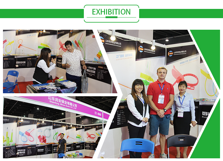 Exhibitions