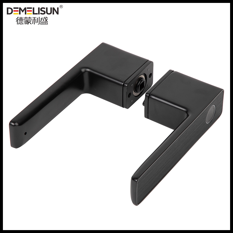 Nordic Office Entry Lever Tuya Smart Gate Fingerprint Security Smart Rim Door Locks
