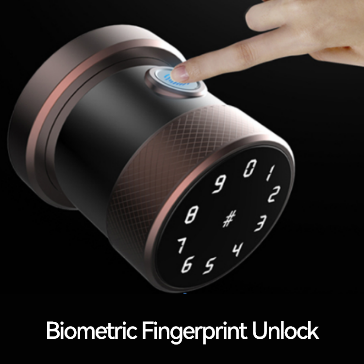 Durable Round Smart Door RFID Card Password Fingerprint Lock Biometric Digital Interior Round Knob TTLock Tuya Smart Lock