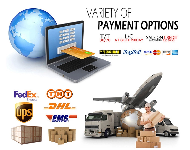 Shipping Logistics