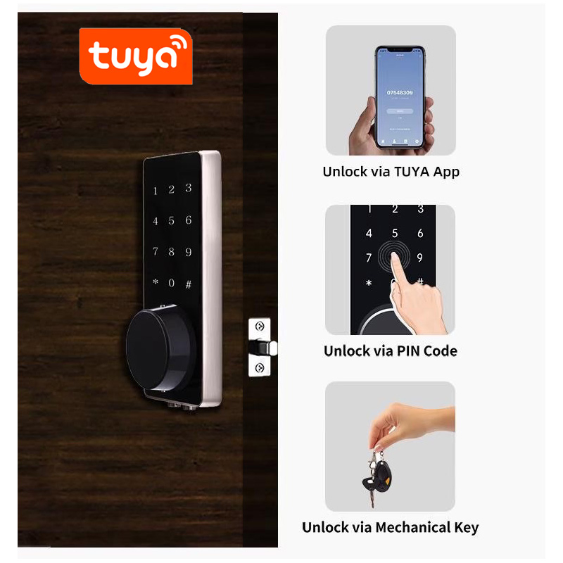 Tuya Tt APP Entrance Door Smart Lock Safety Protection Aluminium Alloy Waterproof Smart Rim Door Lock