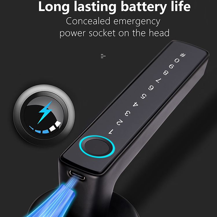 Custom Wholesale Tuya Fingerprint Aluminum/Wood/Steel Lock Cloud Digital Code Key Entry Smart Metal Lock Wi-Fi Enabled 2-Year