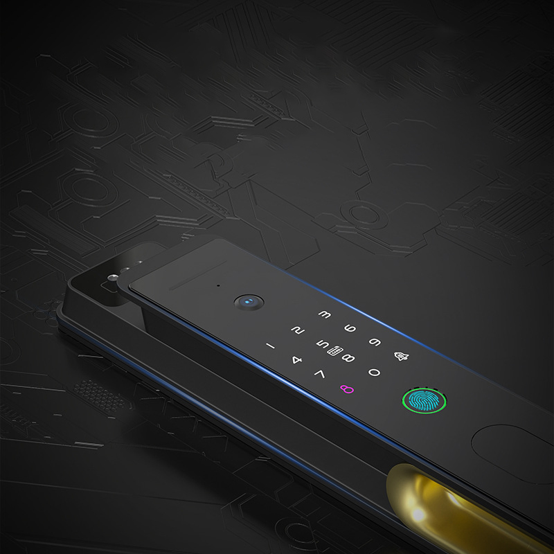 Door Handle Fingerprint Lock Biometric Fingerprint Digital Cylinder WiFi Smart Double Phone APP Access Door Lock