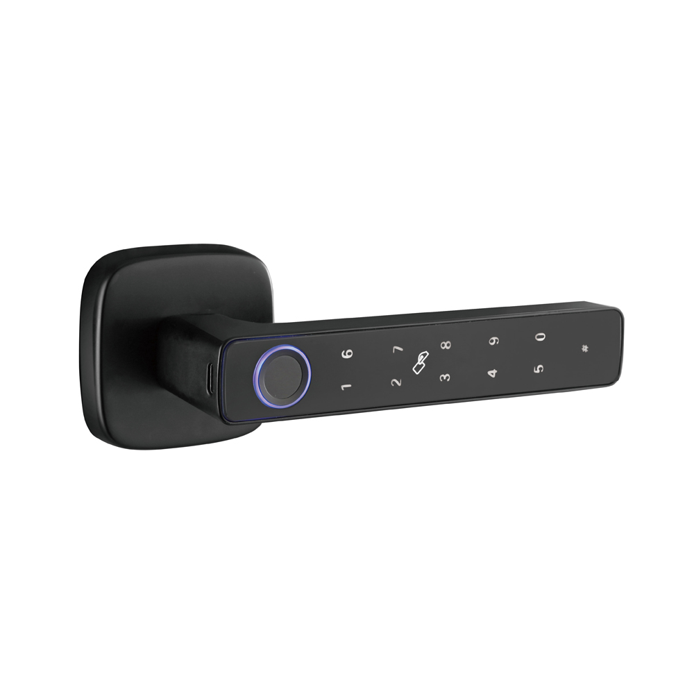 Smart Fingerprint Door Lock Custom Logo Keyless Entry Tuya App Cloud Zinc Alloy Stainless Steel Keypad for Home Office-Factory