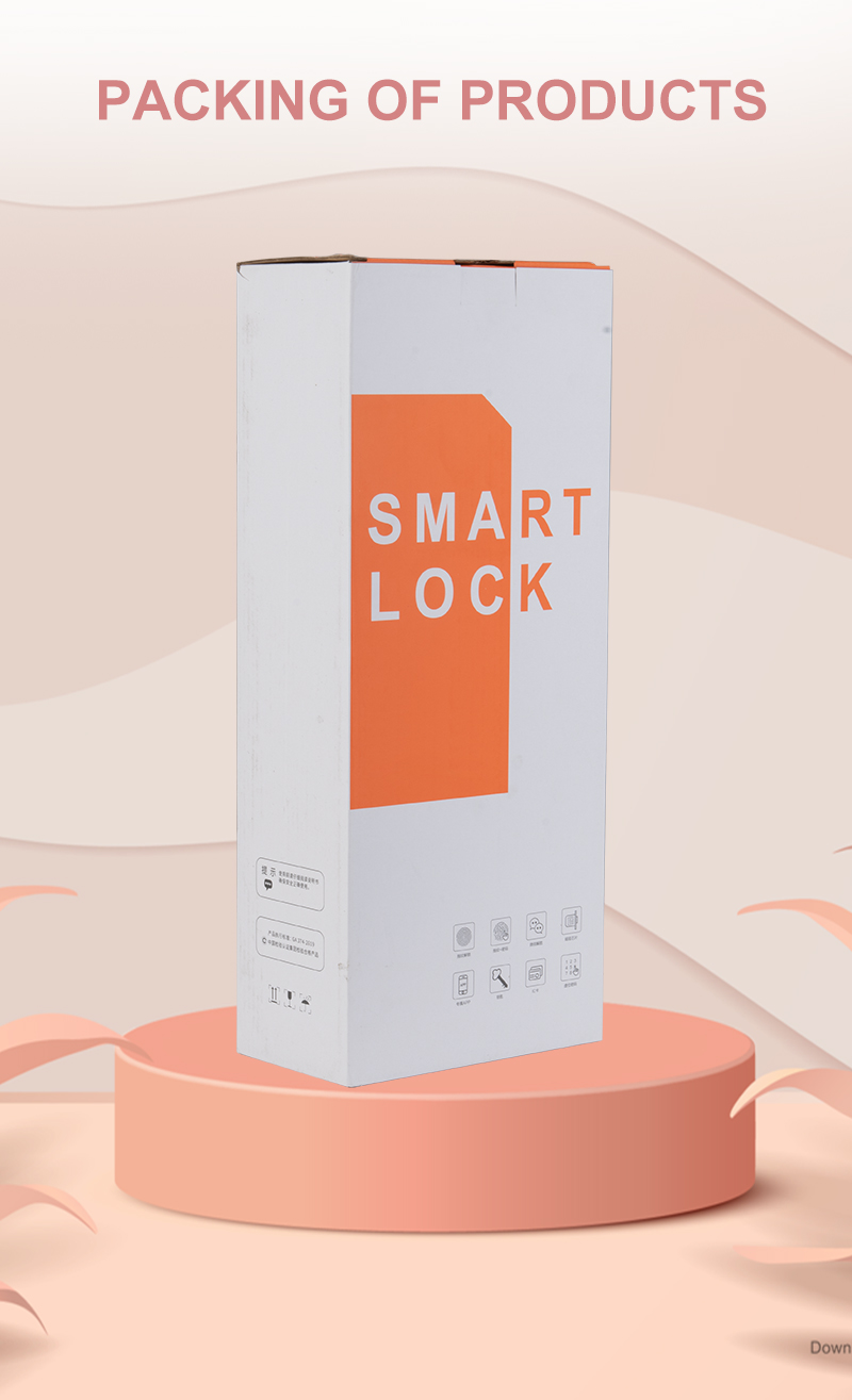 Product Showcase 4