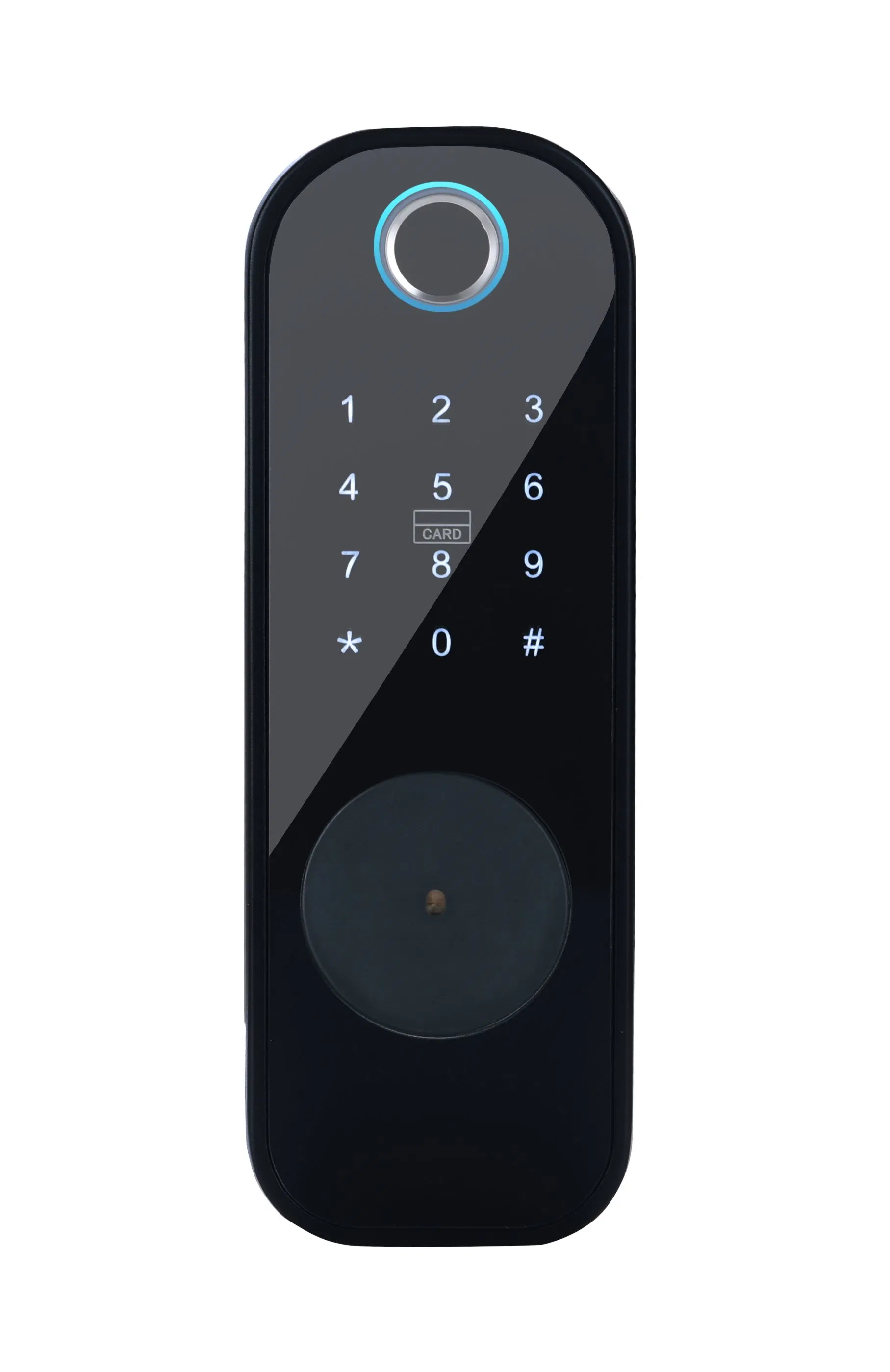 Access Control System Fence Door Dual Fingerprint Waterproof Outdoor Rim Smart Lock