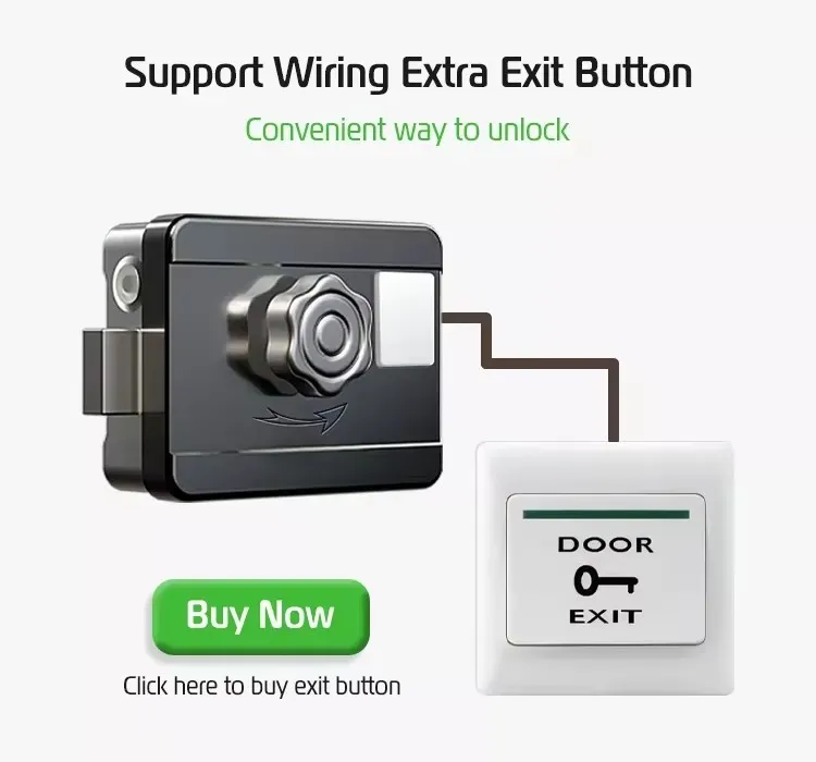 S812 Smart Electric Rim Door Lock with Tuya APP Control WiFi Outdoor Gate Door Double Sided Fingerprint Smart Lock