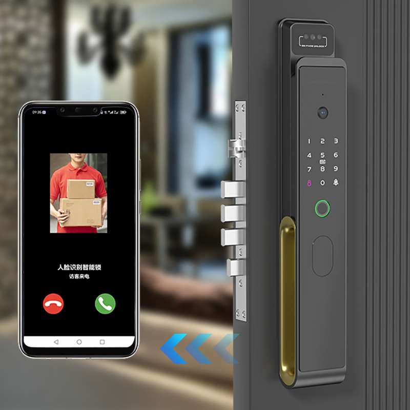 Door Handle Fingerprint Lock Biometric Fingerprint Digital Cylinder WiFi Smart Double Phone APP Access Door Lock