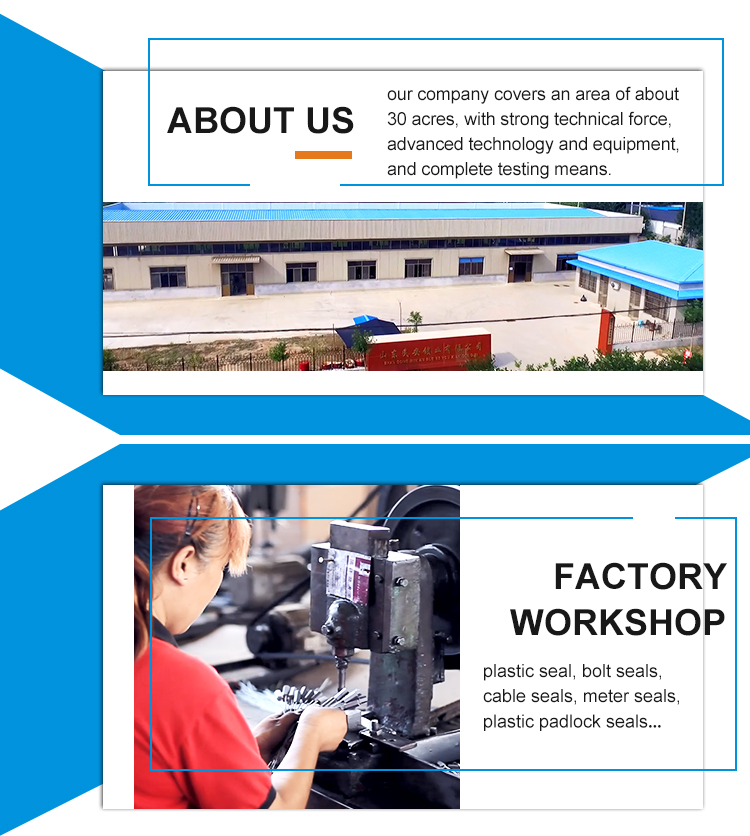 Safety Plastic Padlock Seal Manufacturing