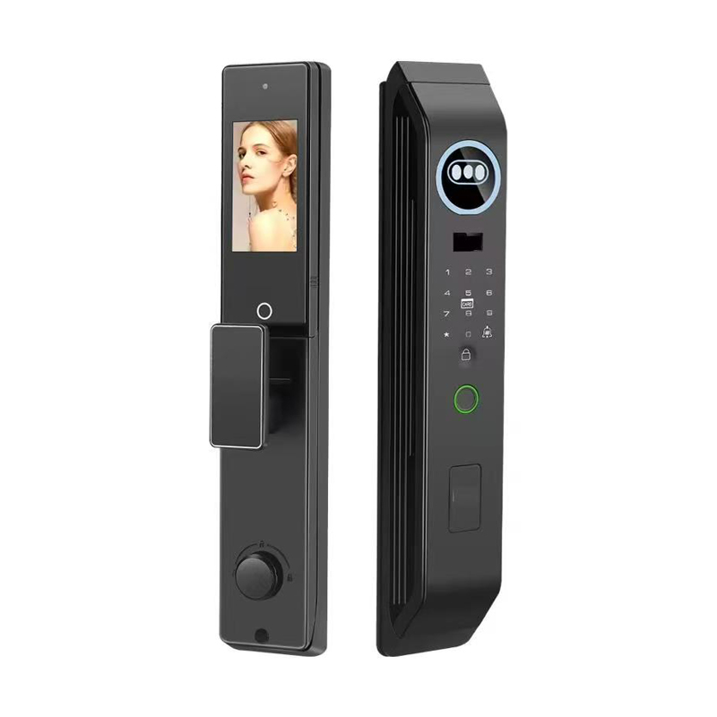3D Face Palm Vein Recognition Fingerprint Remote Unlock WeChat Temp Code Anti-Theft Cloud Aluminum Alloy Smart Electronic Steel