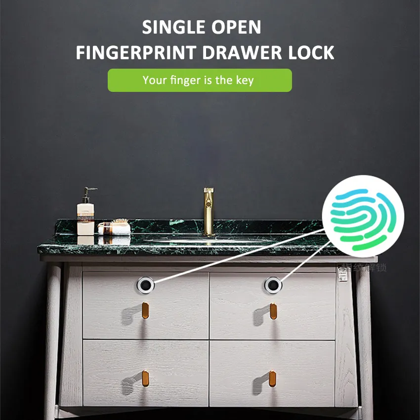 Fingerprint Lock Detail