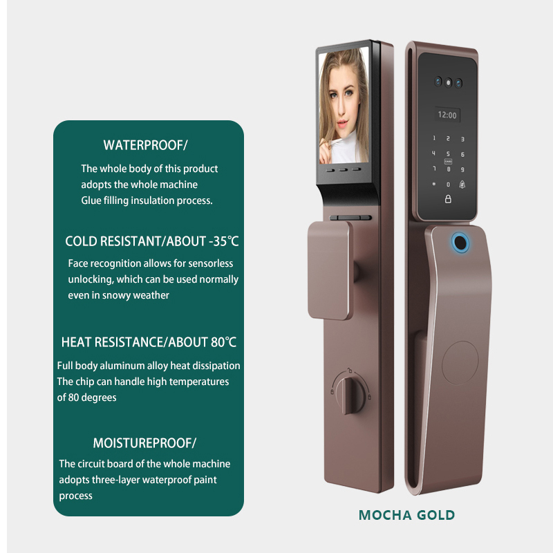 Fingerprint Password 3D Face Recognition Smart Lock Ic Card Audio-visual Anti-theft Fingerprint Smart Lock