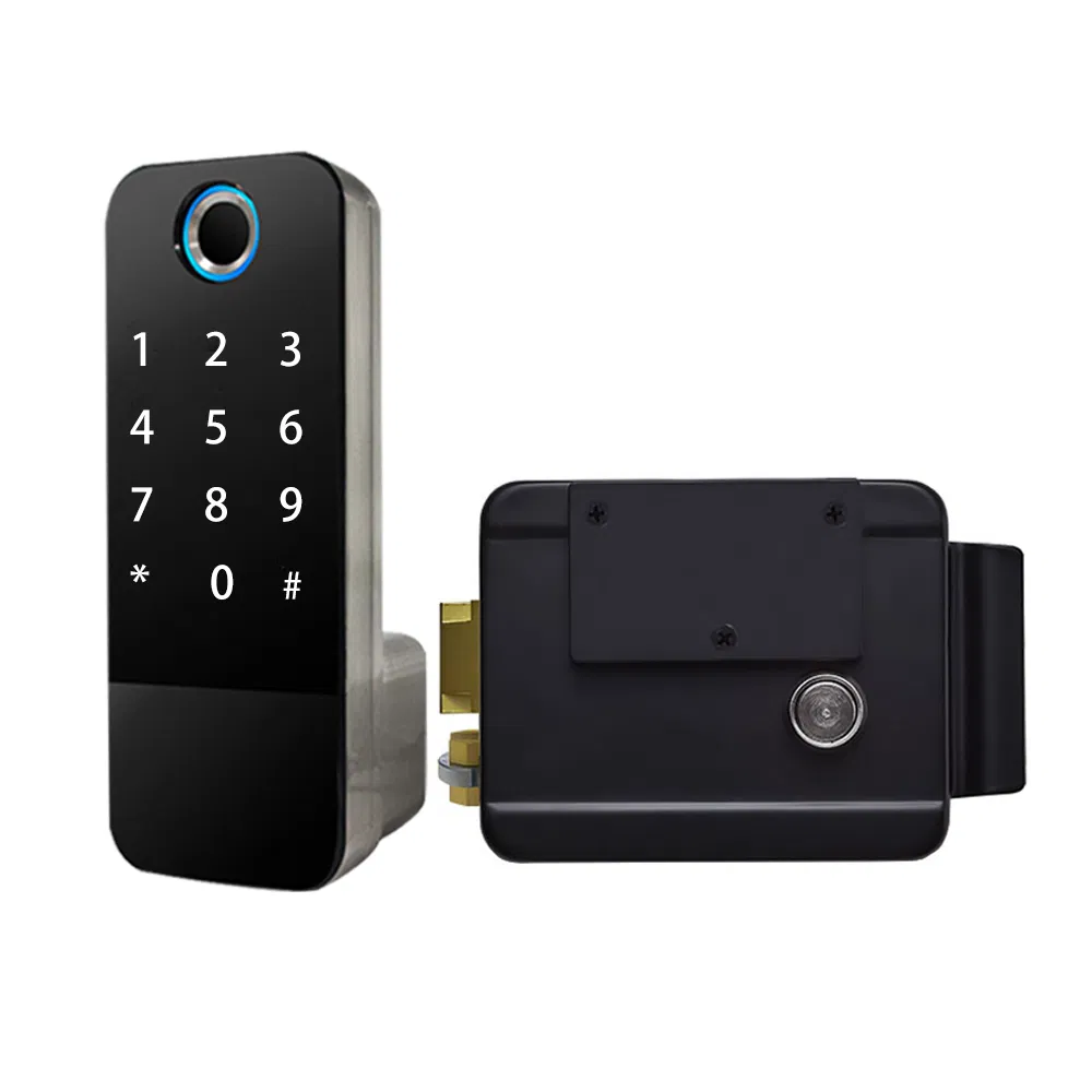 WiFi Tt Lock Card Waterproof Smart Door Locks Rim Lock