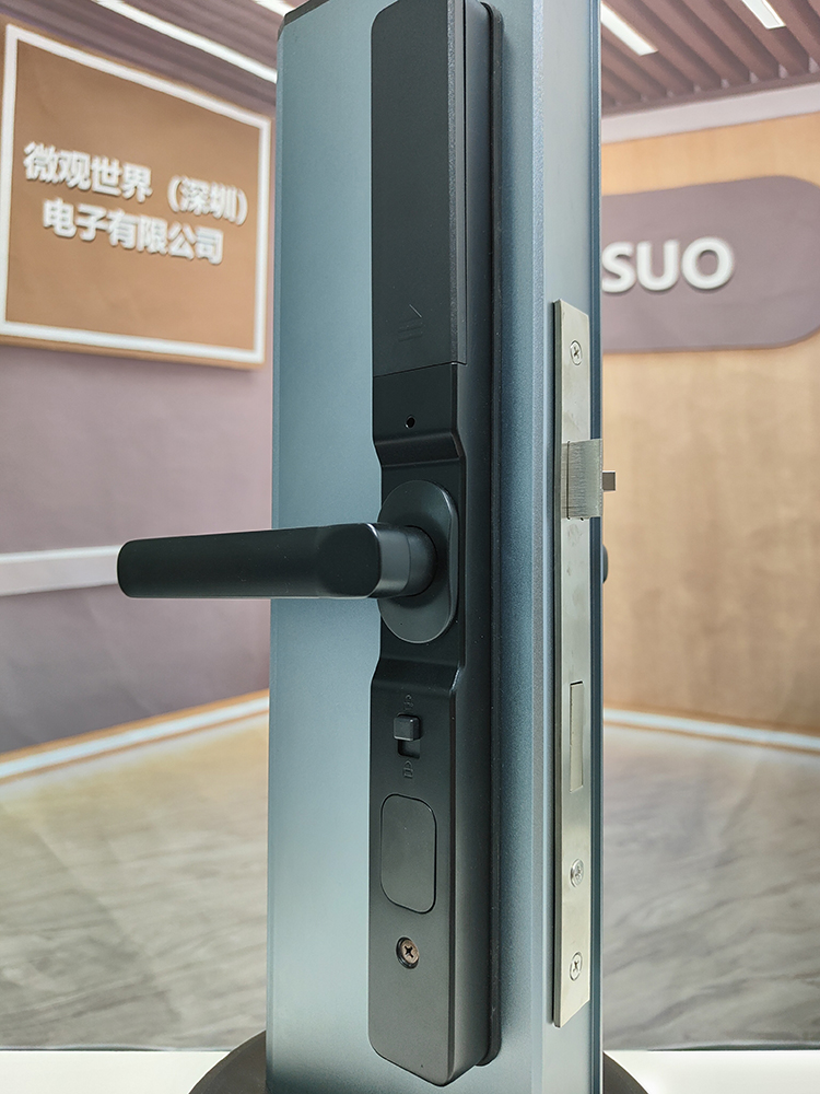 Smart lock real view 2
