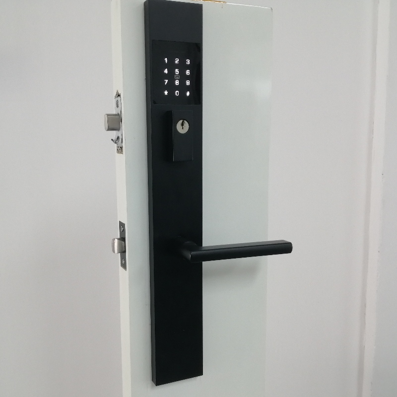 Modern Security Keyless Entry Handleset Touch Screen Keypad Smart Door Locks for Front Door, Household Villa