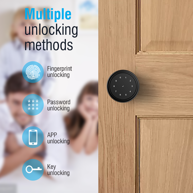 Te'an Network Smart Security Digital Lock WiFi Electric Deadbolt App Fingerprint Password Key for Aluminum Brass Doors Cloud