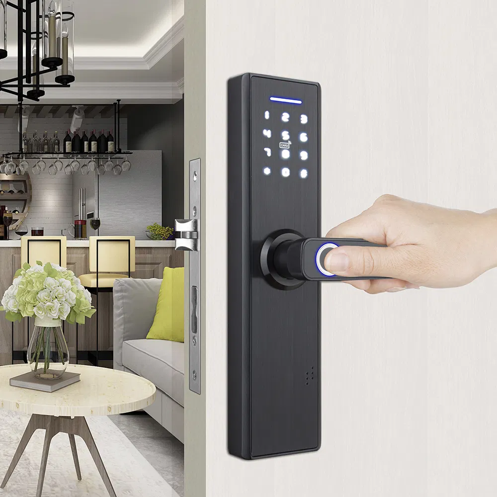 Smart Fingerprint Password Card Touch Intelligent Handle