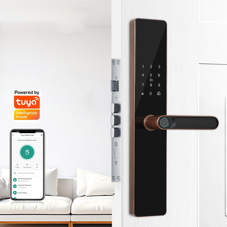 Cheap Fingerprint Biometric Smart Lock TTLock Tuya WIFI LOCK Ic Card Key Smart Door Lock