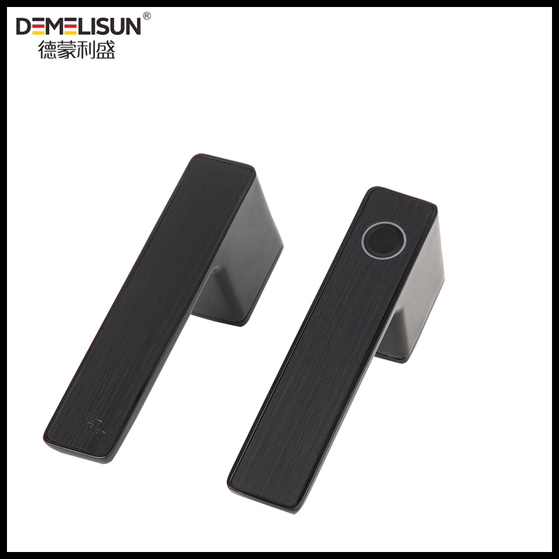 Nordic Office Entry Lever Tuya Smart Gate Fingerprint Security Smart Rim Door Locks