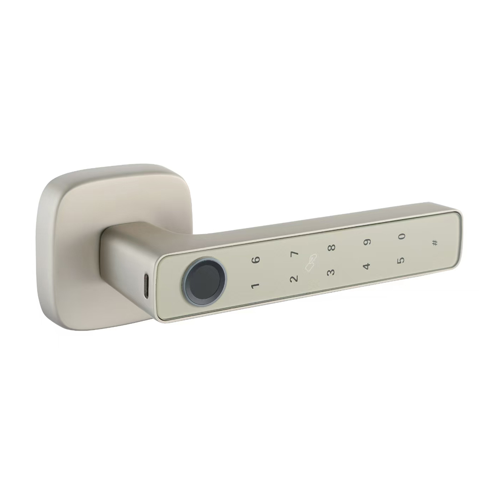 Smart Fingerprint Door Lock Custom Logo Keyless Entry Tuya App Cloud Zinc Alloy Stainless Steel Keypad for Home Office-Factory