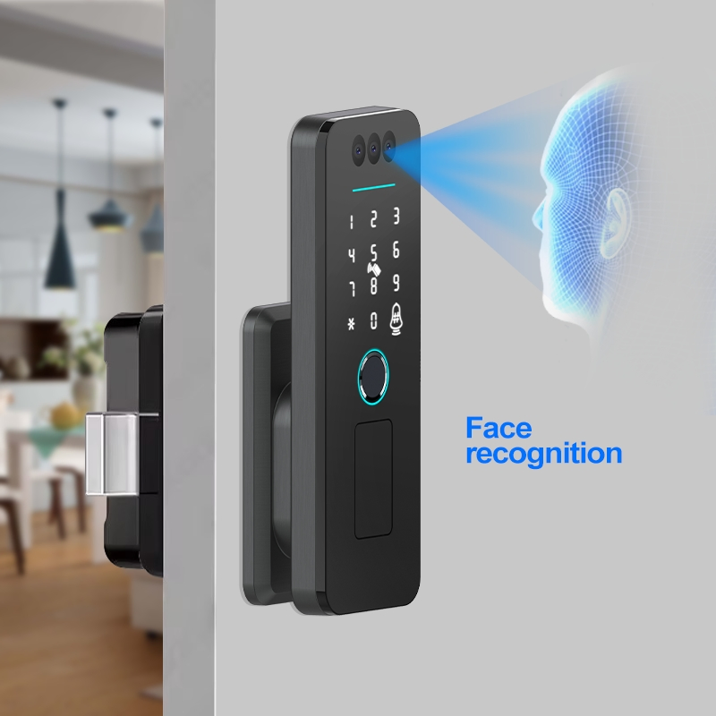 Smart Digital Lock with Aluminum Door Key Intelligent Password Tuya Face Fingerprint Rim Gate Smart Lock