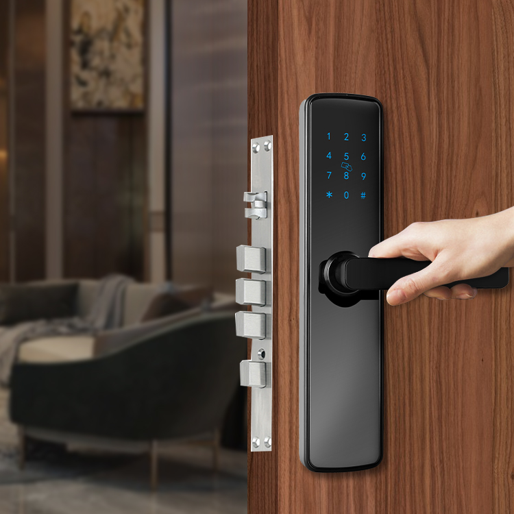 Keyless Entry Door Lock TTLOCK APP PASSWORD Electronic Key Free Protected Password Door Lock Digital Smart Door Lock