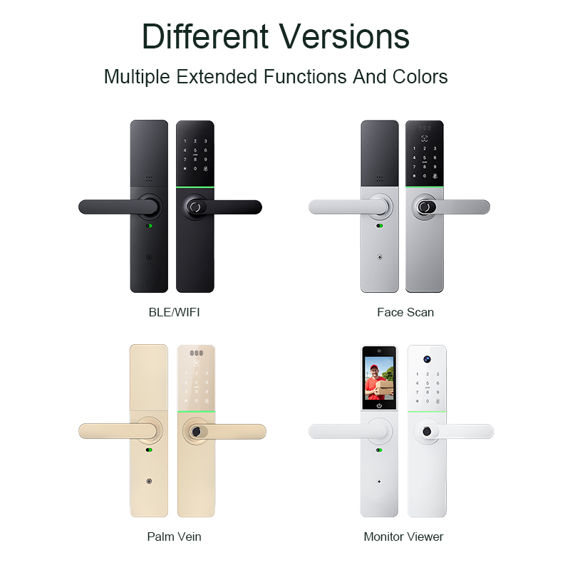 Liliwiise Tuya Ttlock Smart Digital Fingerprint Lock Biometric Lock Rfid Card Wifi App Smart Door Lock