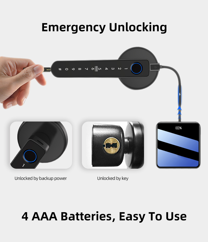 Tuya Smart Lever Door Lock with Fingerprint &amp; Anti-peep Password, Security Lock for Apartments, Offices, Hospitals