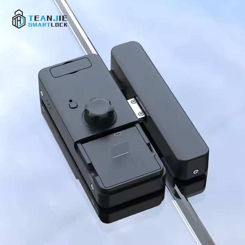 Smart Biometric 3D Face Recognition Fingerprint Door Lock TUYA APP Control WiFi Digital Sliding Glass Door Lock