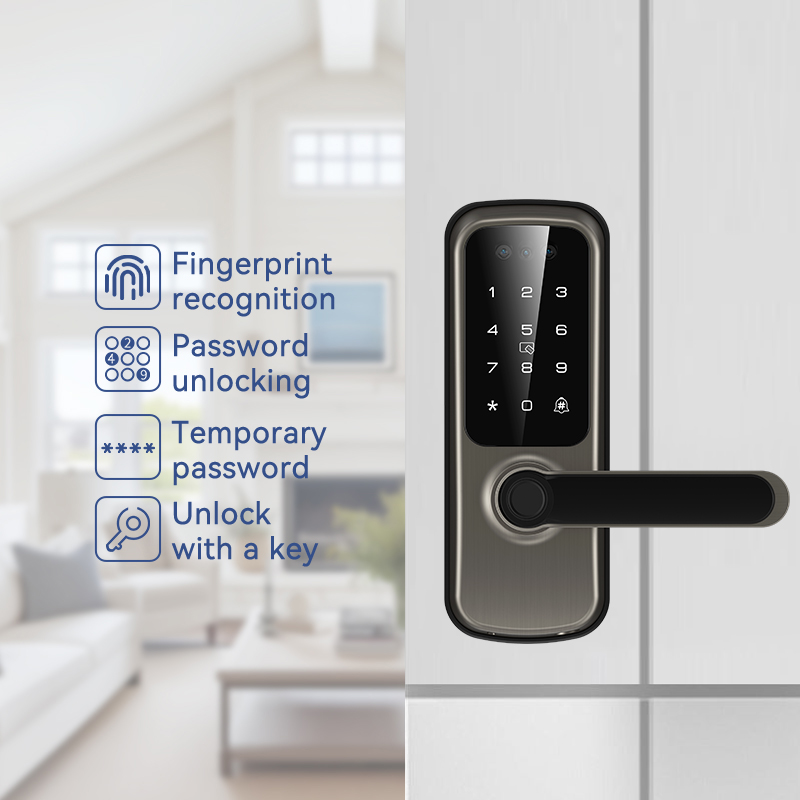 Kasman Source Price American Style Smart Door Lock Facial Recognition Aluminum Fingerprint Tuya Ttlock Gate Lock with Camera