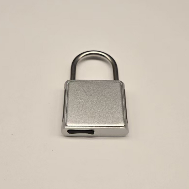 Custom Practical Smart Fingerprint Padlock Portable Self-Service Storage Security Anti-Theft Fingerprint Lock
