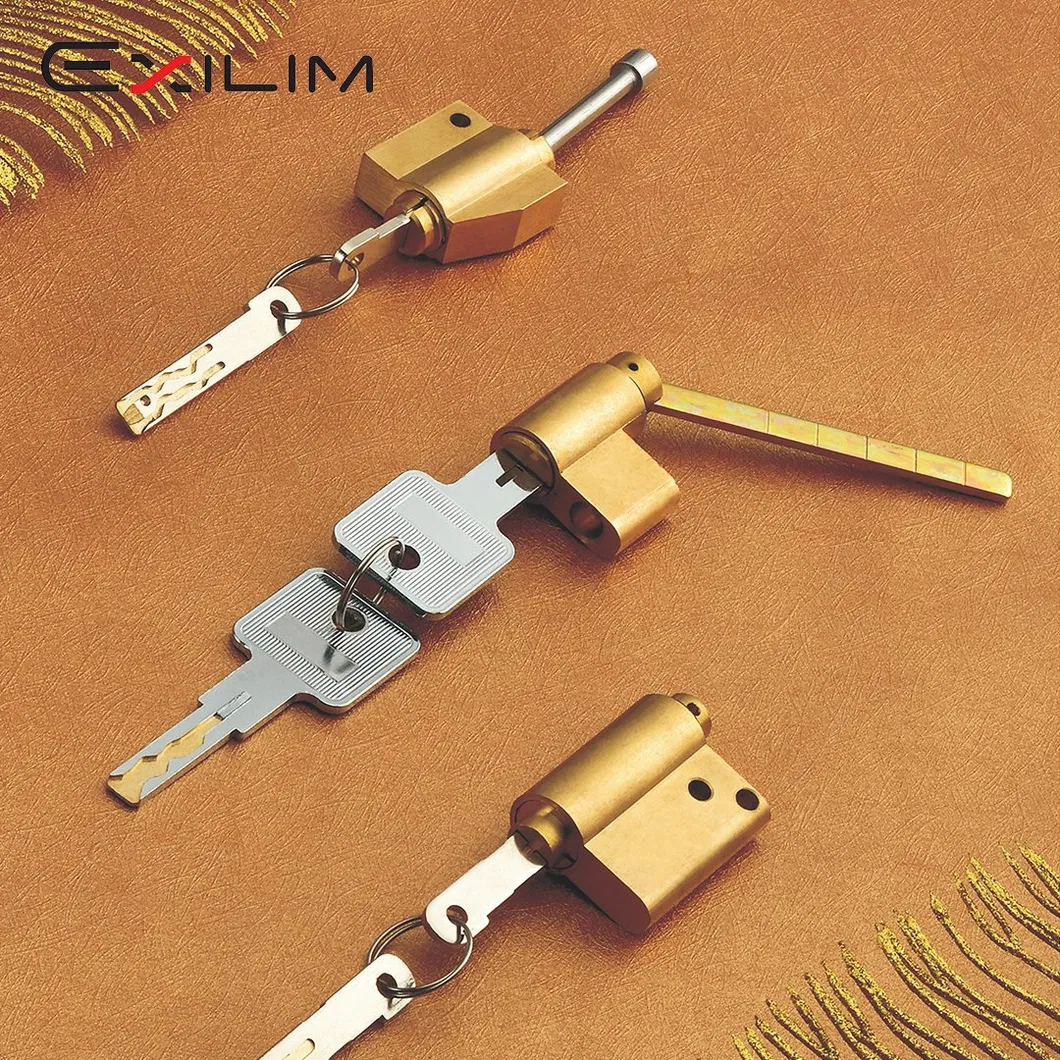 Security Door Lock