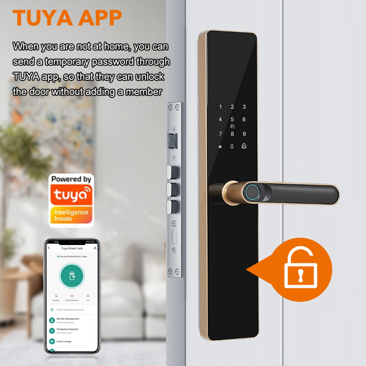 Cheap Fingerprint Biometric Smart Lock TTLock Tuya WIFI LOCK Ic Card Key Smart Door Lock