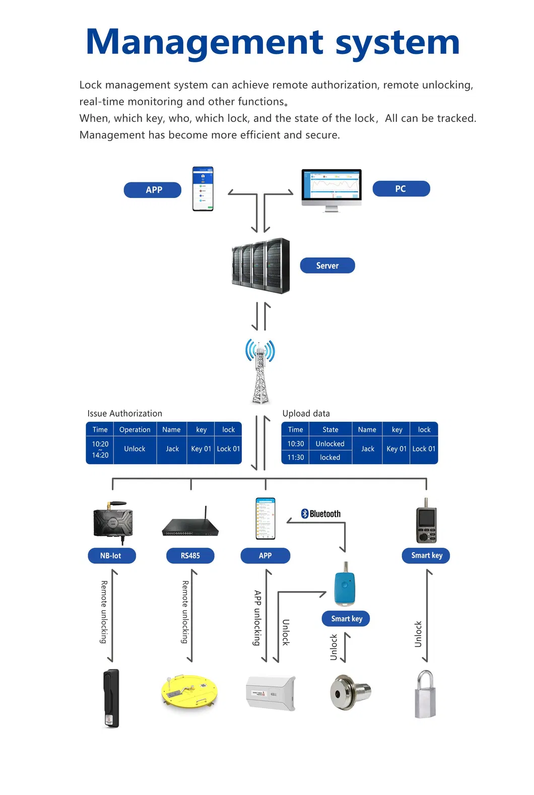Management Software