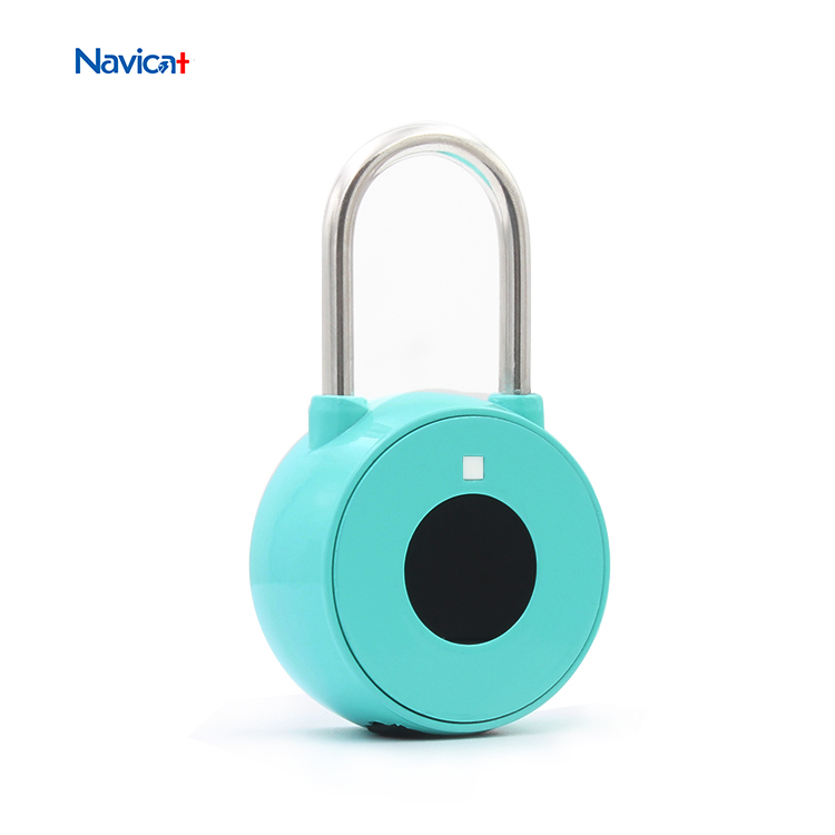 Mini Waterproof Smart Blue Tooth Padlocks App Keyless Biometric Fingerprint Top Security Smart Padlocks