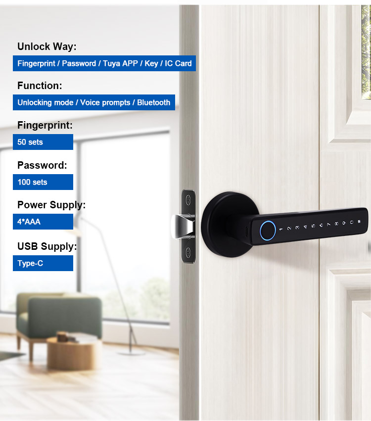 Best Seller Easy Installation APP Management Keypad Smart Door Lock With Handle Fingerprint Door
