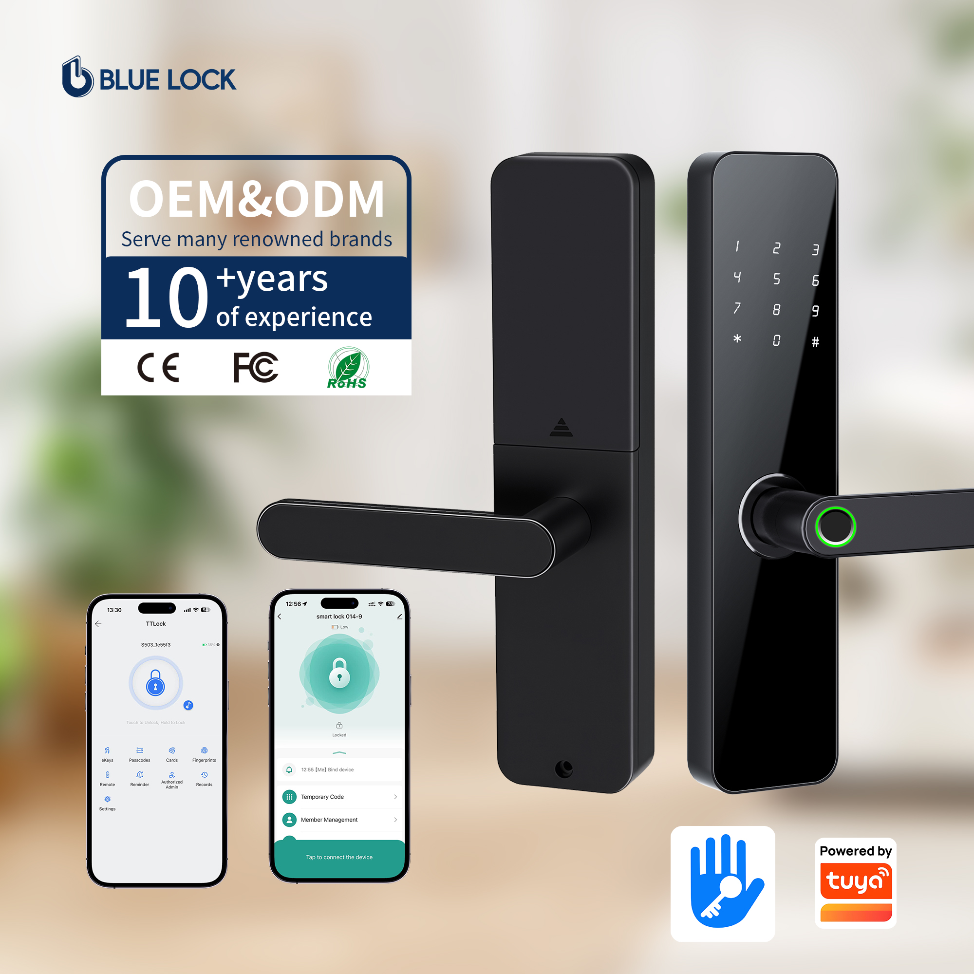 Bluelock Fingerprint Smart Lock Cloud Password Card TTLock App Control Key Entry for Wood Doors Home Security