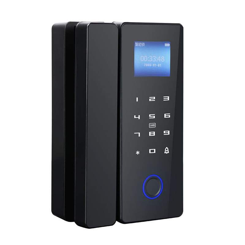 Hot Sale Durable Anti-Theft Keyless Digital Door Lock Smart Main Entry Front Metal Gate for Home School Polished Waterproof
