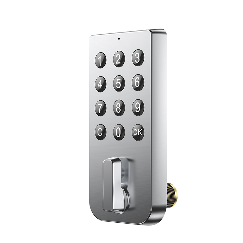 Custom Logo Home Smart Electronic Digital Locks Keypad Password Code Intelligent Door Lock for Apartment