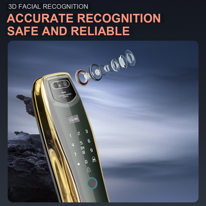Best-Selling Smart Home WiFi Lock Tuya Control Fingerprint Face Recognition Camera Keyless Entry for Wooden Doors