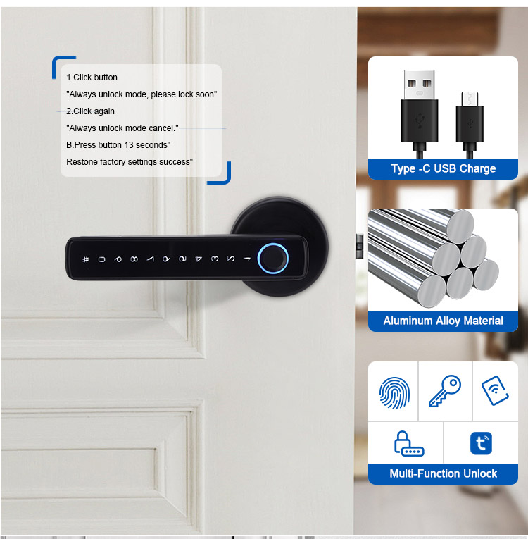 Best Seller Easy Installation APP Management Keypad Smart Door Lock With Handle Fingerprint Door