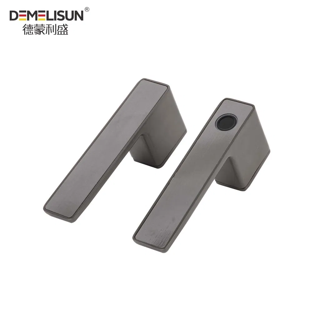 Smart Door Lock 1