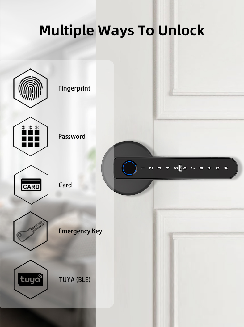 Tuya Smart Lever Door Lock with Fingerprint &amp; Anti-peep Password, Security Lock for Apartments, Offices, Hospitals