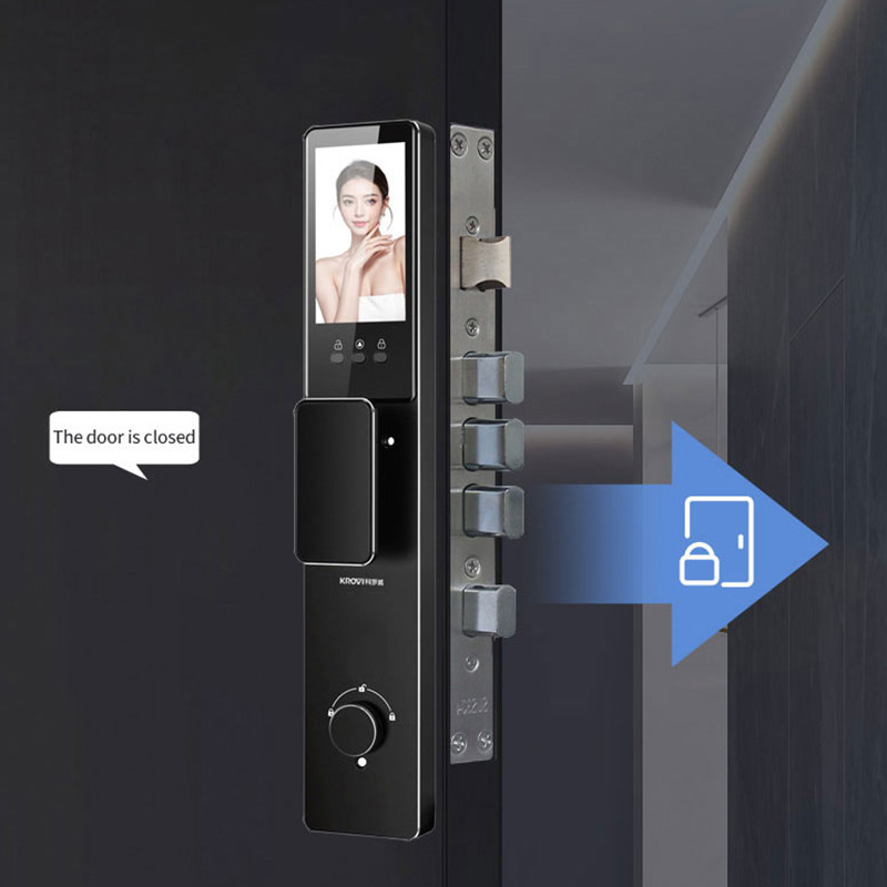 Outdoor Electronic WiFi Lock Tuya TTlock Waterproof Smart Door Security Fingerprint Face Recognition Memory Card Cloud Grade C