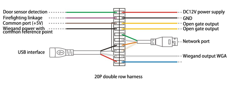 Device Features