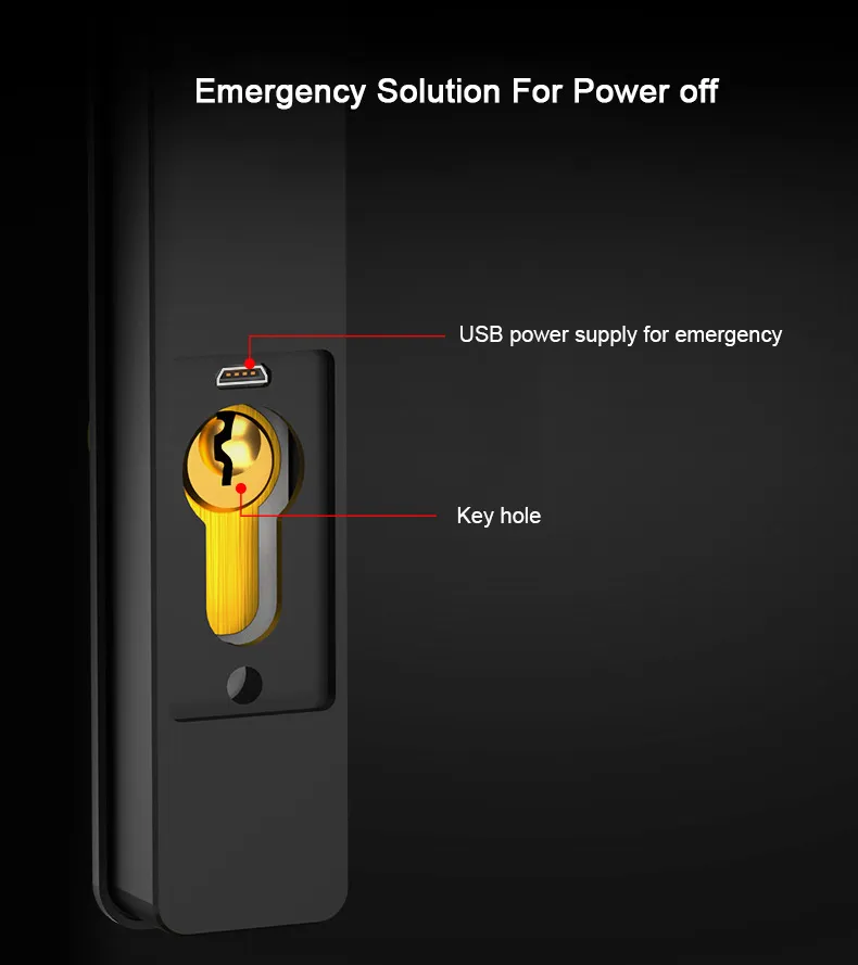 Fingerprint scanning layout display