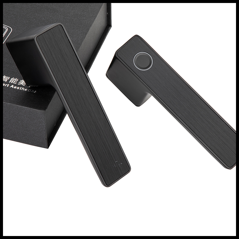Nordic Office Entry Lever Tuya Smart Gate Fingerprint Security Smart Rim Door Locks